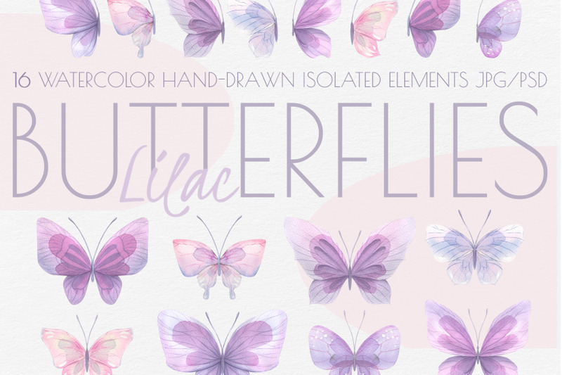 delicate-butterflies-amp-cats-mini-set