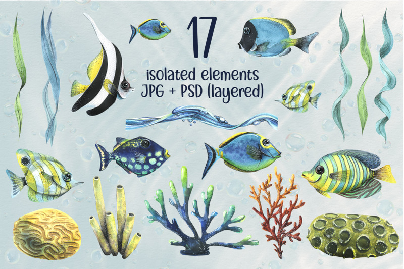 tropical-fish-amp-coral-mini-clipart-set