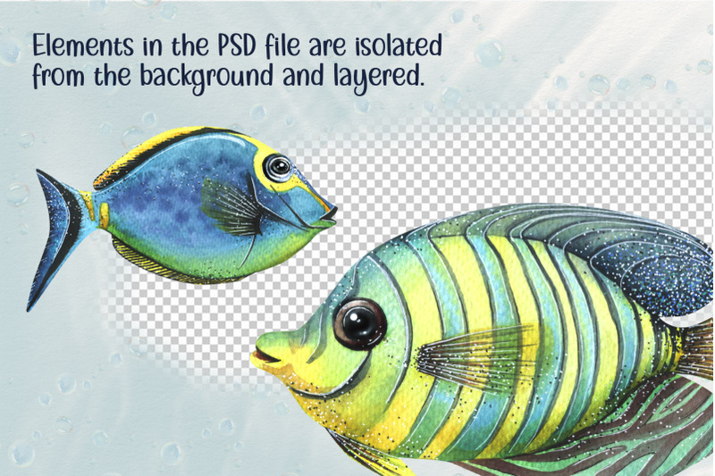tropical-fish-amp-coral-mini-clipart-set