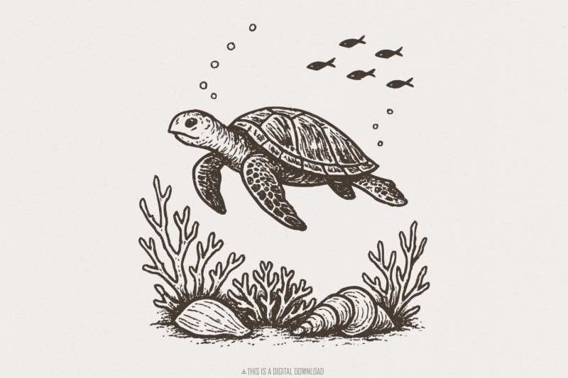 sea-turtle-png-ocean-animal-clipart-underwater-illustration-marine