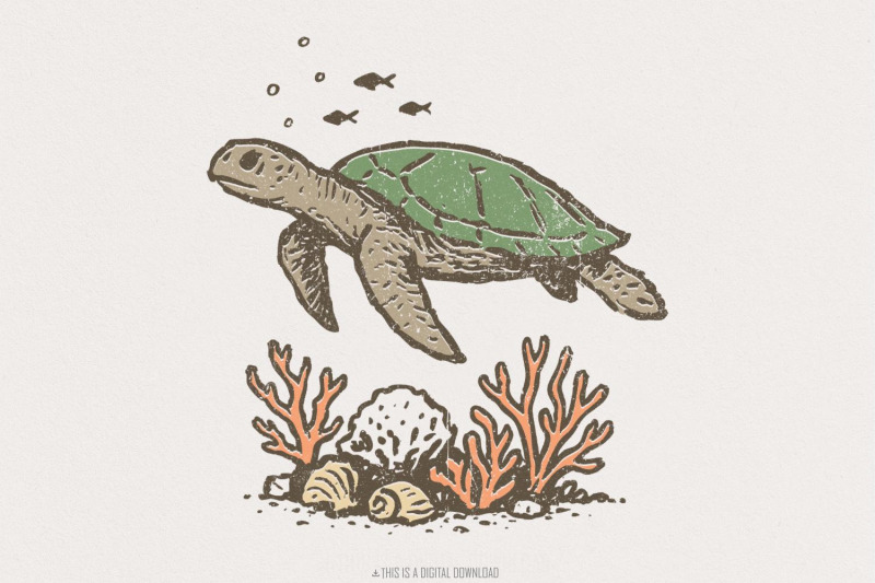 sea-turtle-png-ocean-life-digital-download-marine-animal-art-coral