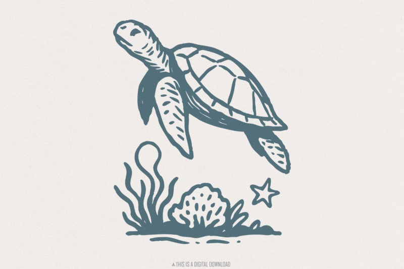 sea-turtle-png-clipart-ocean-animal-illustration-marine-life-art-pr