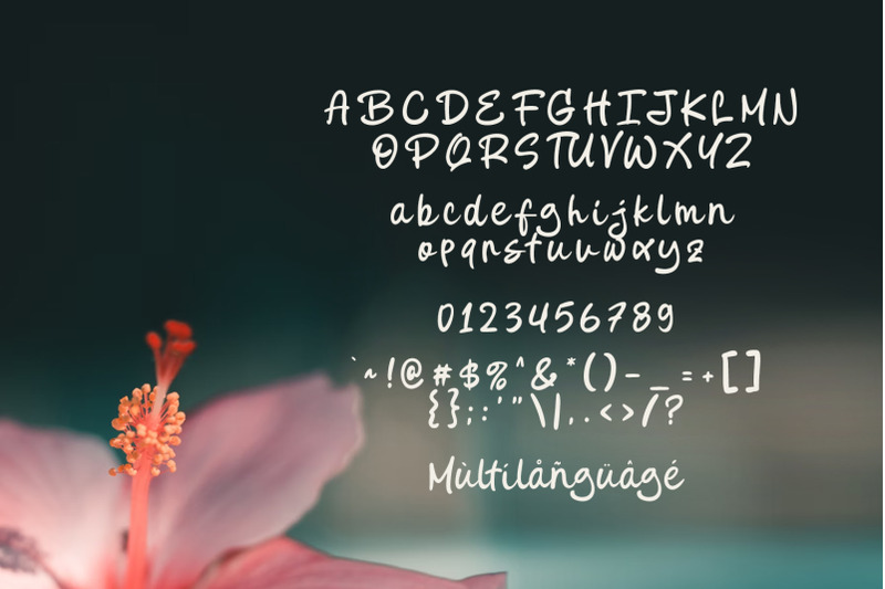 bevagna-script