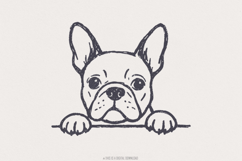 french-bulldog-png-cute-dog-line-art-digital-download-pet-drawing-p