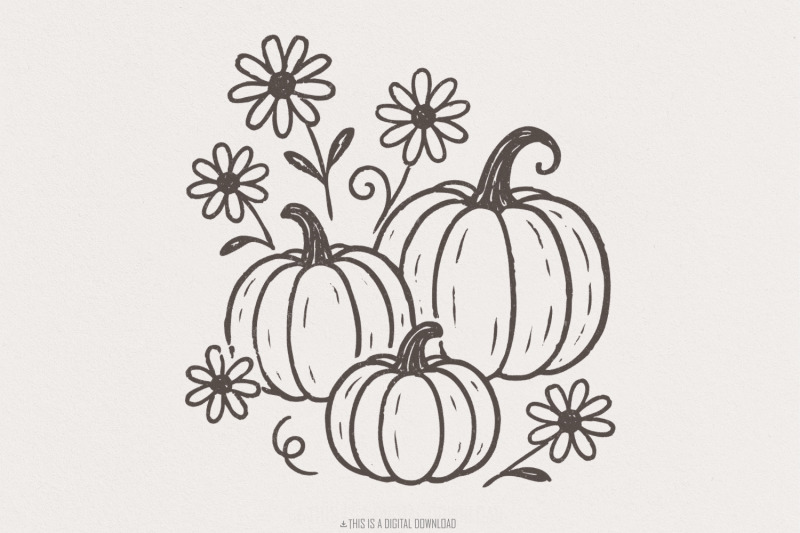 pumpkin-and-daisy-png-fall-flowers-digital-download-autumn-pumpkin-c