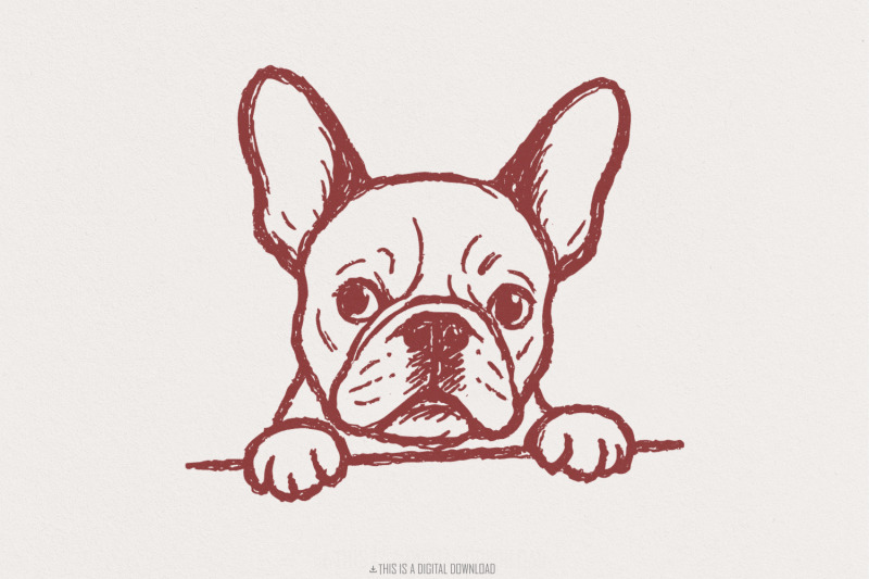 french-bulldog-png-digital-download-cute-dog-clipart-hand-drawn-pet