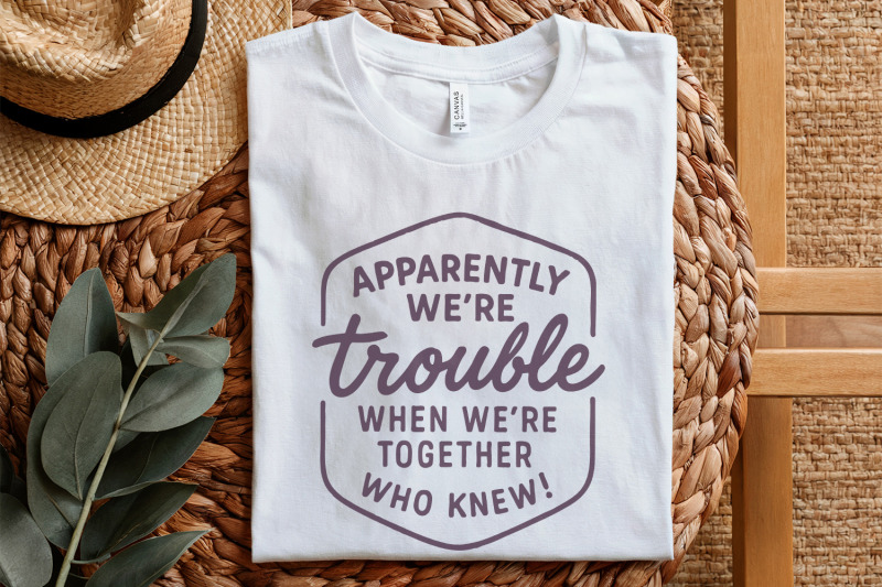 apparently-we-039-re-trouble-png-when-we-039-re-together-who-knew-funny-bes