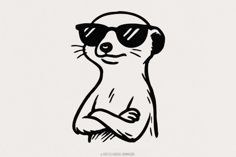 cool-meerkat-png-funny-animal-digital-download-sunglasses-meerkat-ar