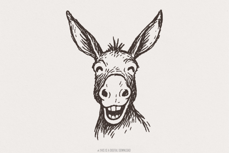 funny-donkey-png-smiling-animal-clipart-hand-drawn-farm-animal-png