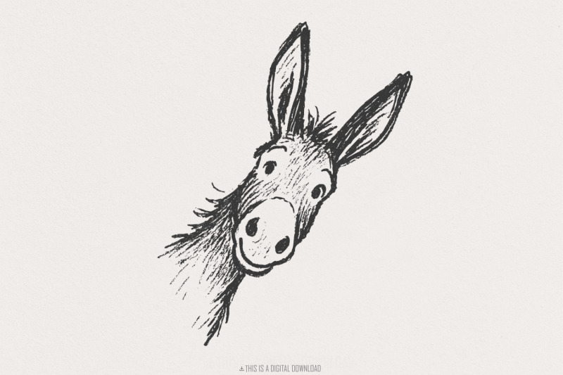 funny-donkey-png-illustration-animal-drawing-clipart-quirky-farm-ani