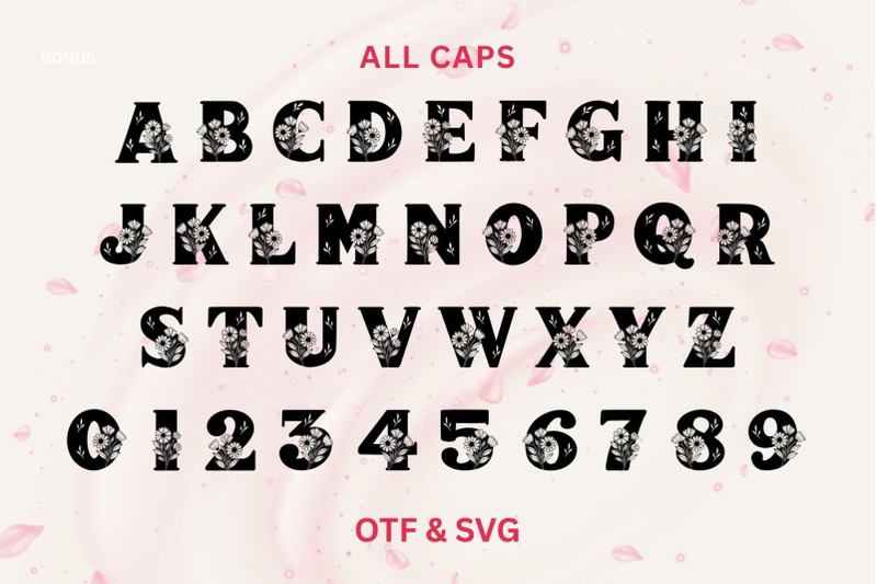 daisy-folk-font-duo
