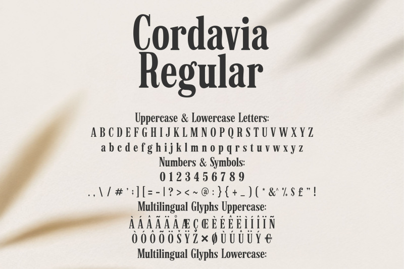 cordavia-font-bundle-modern-serif-font-family-with-swashes
