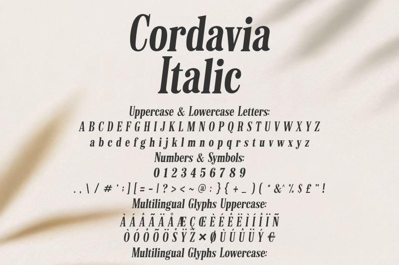 cordavia-font-bundle-modern-serif-font-family-with-swashes