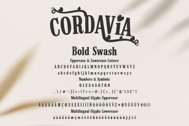 cordavia-font-bundle-modern-serif-font-family-with-swashes