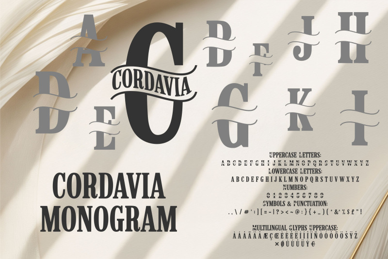 cordavia-font-bundle-modern-serif-font-family-with-swashes