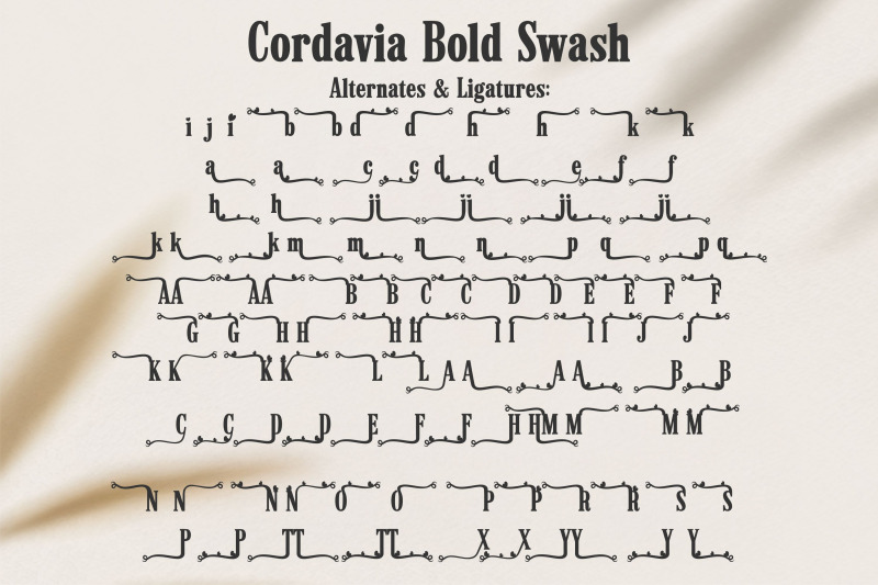 cordavia-font-bundle-modern-serif-font-family-with-swashes