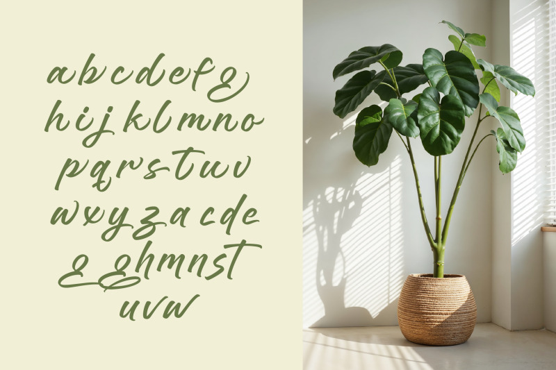 brighten-shootters-modern-script-font