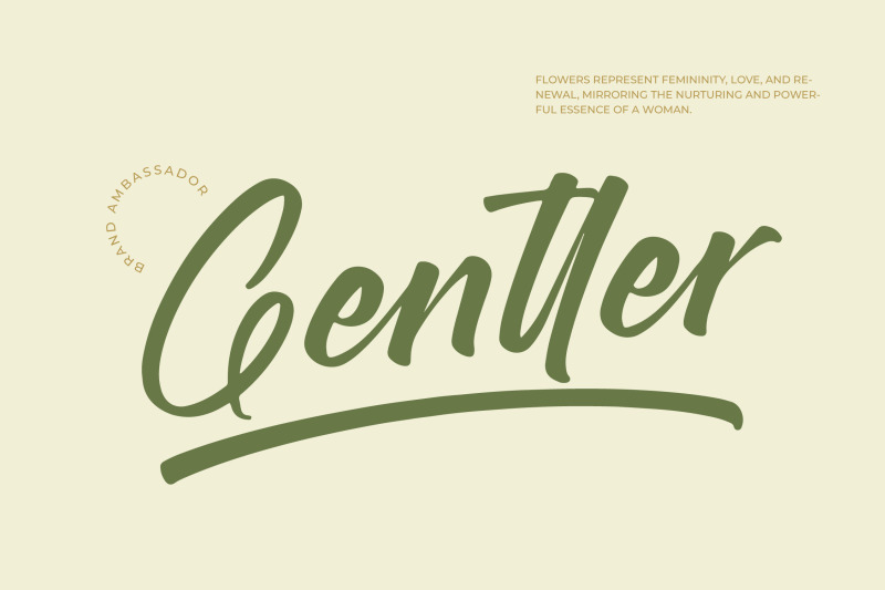 brighten-shootters-modern-script-font