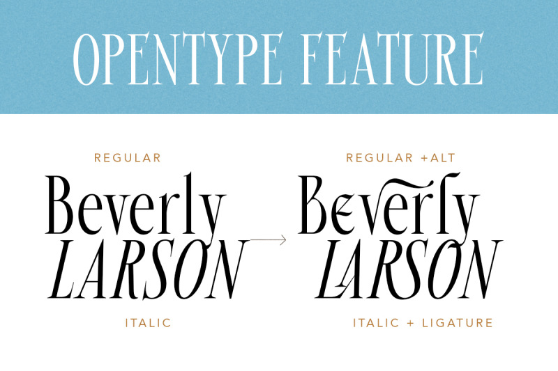 beverly-walters-stylish-serif