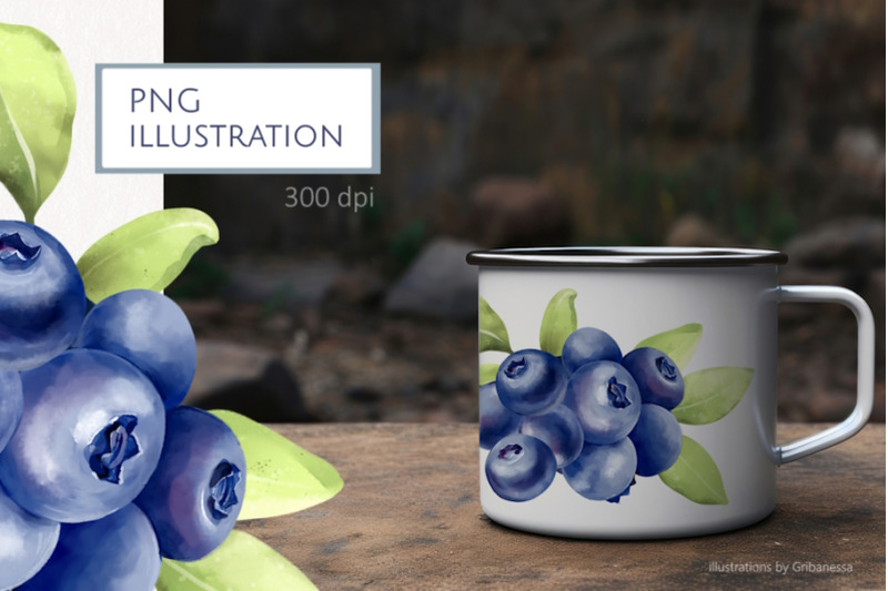 blueberry-illustration-png-berries-and-leaves-clipart