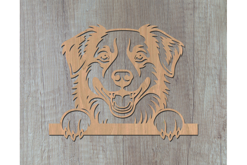peeking-australian-shepherd-laser-svg-dog-laser-cut-design-pet-lover