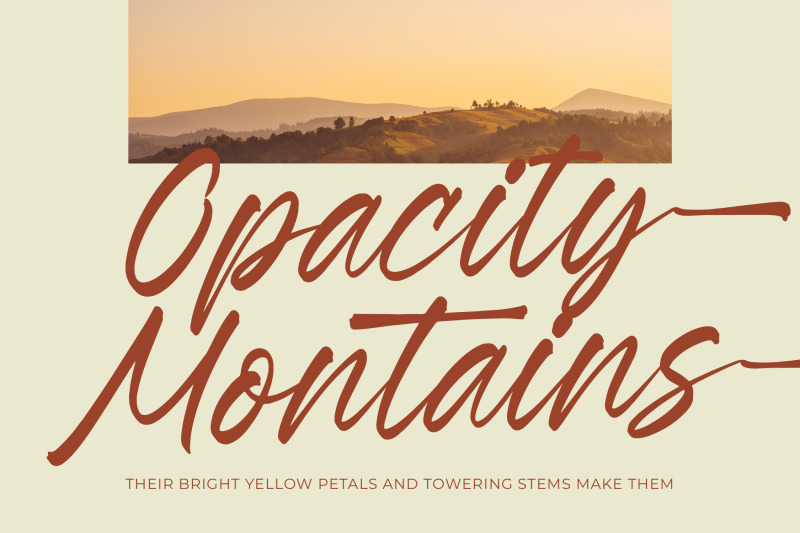 esylon-sparted-bold-brush-type-font