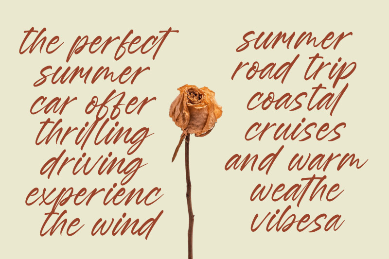 esylon-sparted-bold-brush-type-font