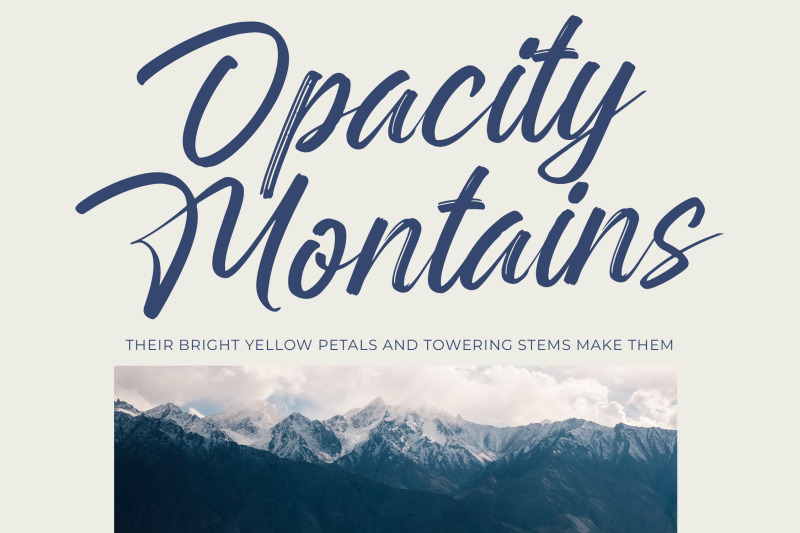 rangdak-morattes-bold-brush-type-font
