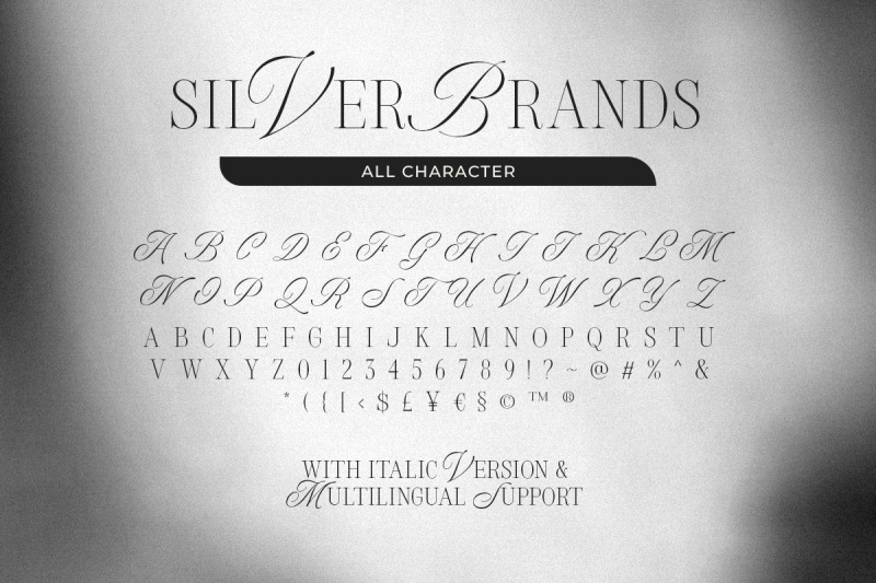 silver-brands-elegant-mixed-serif