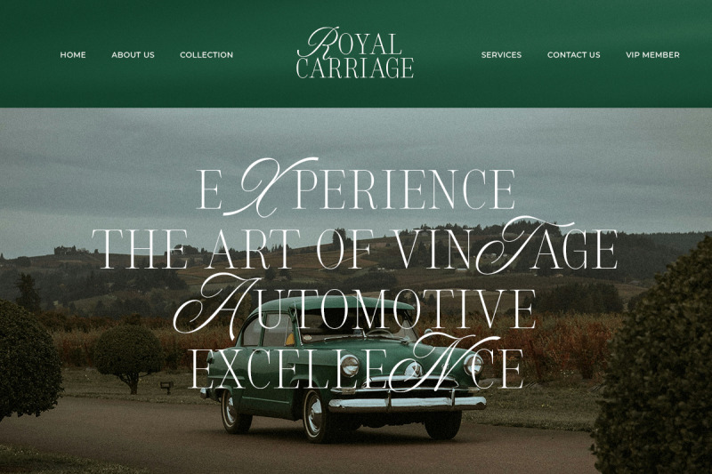 silver-brands-elegant-mixed-serif