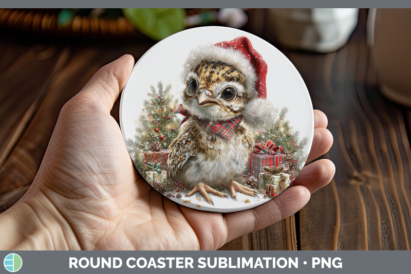 grouse-round-coaster-woodland-christmas-santa-sublimation-co