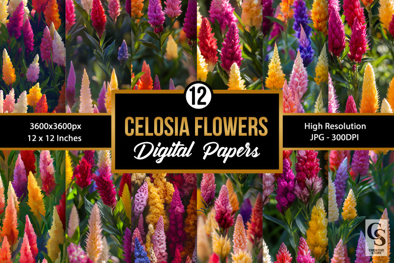 colorful-celosia-flowers-digital-papers
