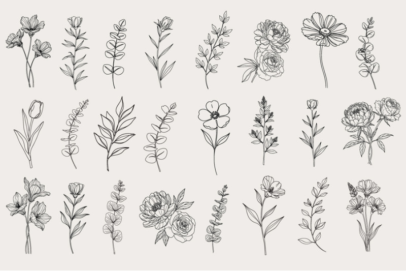 hand-drawn-leaves-svg-botanical-svg-bundle