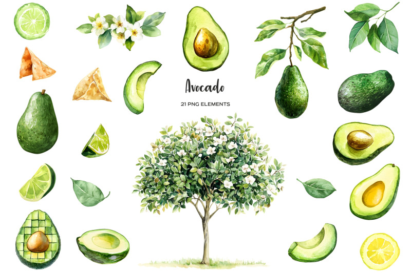watercolor-avocado-clipart-fresh-whole-and-sliced-avocado-fruit-tree