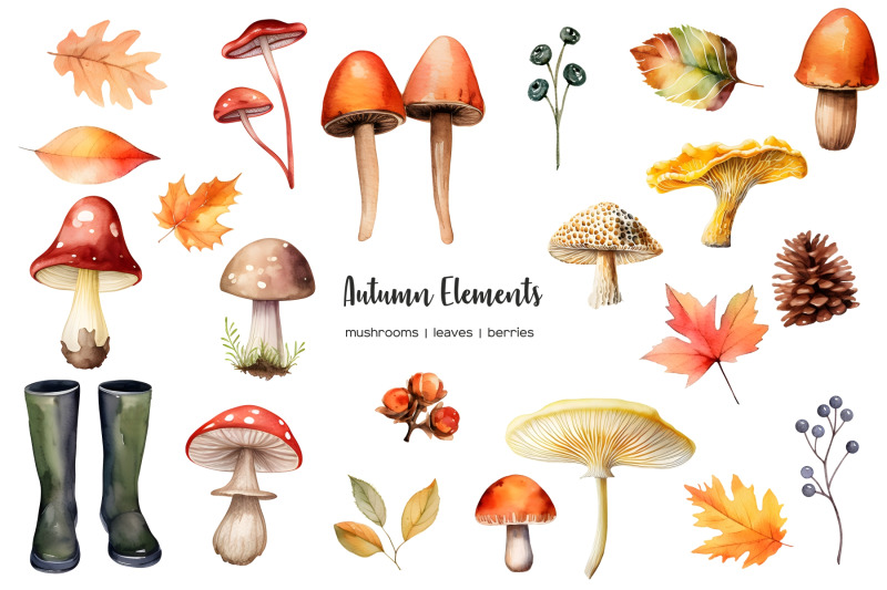 watercolor-mushrooms-clipart-watercolor-autumn-elements-clip-art