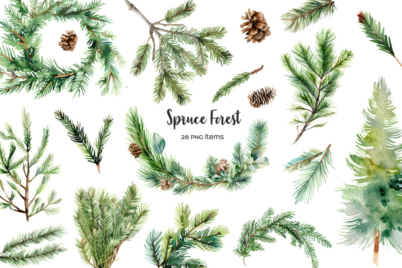 watercolor-fir-clipart-spruce-forest-clip-art-pine-needle-set