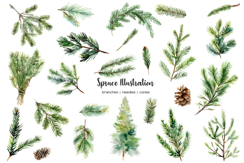 watercolor-fir-clipart-spruce-forest-clip-art-pine-needle-set