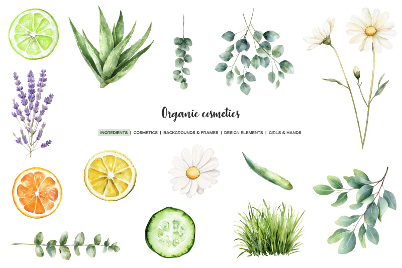 watercolor-organic-cosmetic-clipart-natural-cosmetics-eco-skin-care