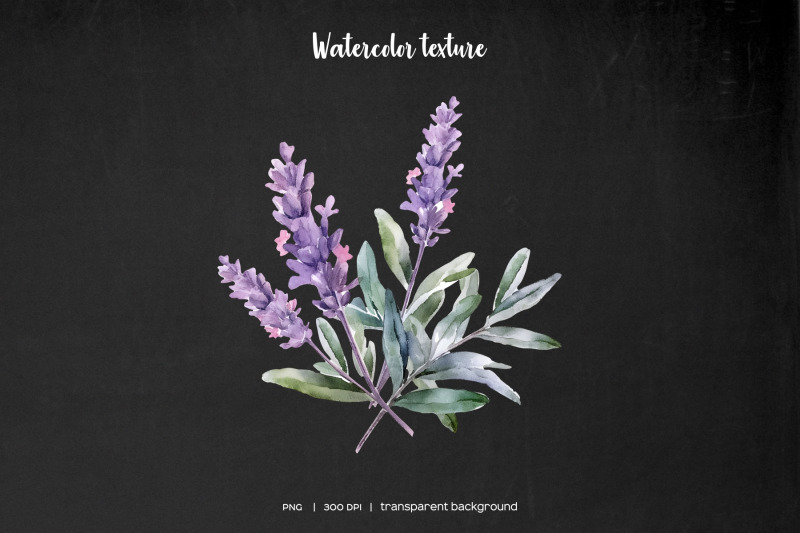 watercolor-lavender-clipart-garden-purple-flowers-clip-art