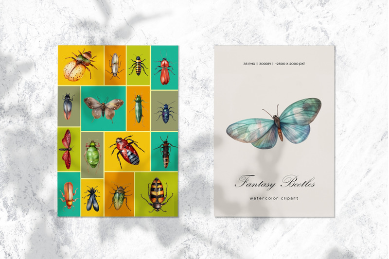 watercolor-beetles-clipart-watercolor-insects-clipart-35-png