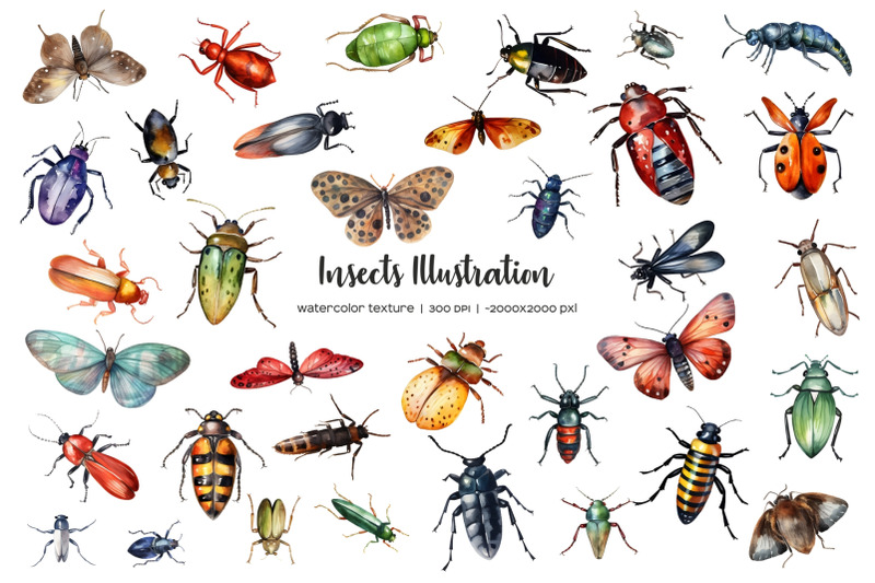 watercolor-beetles-clipart-watercolor-insects-clipart-35-png