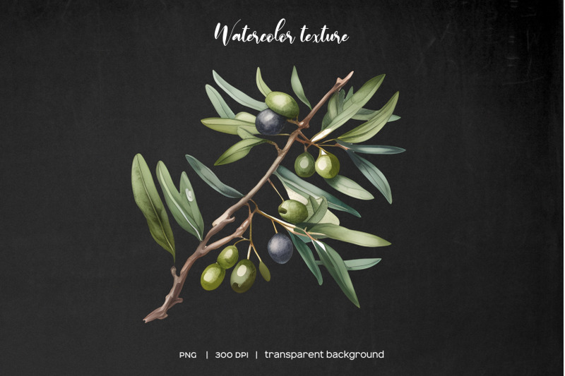 watercolor-olive-clipart-olive-branches-and-leaves-watercolor