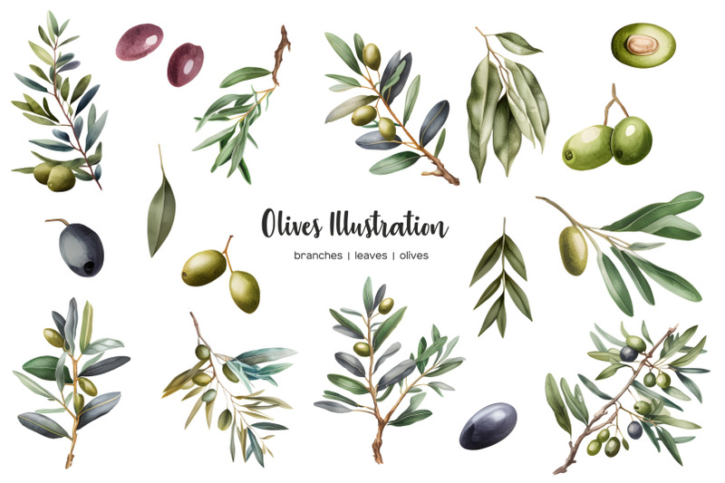 watercolor-olive-clipart-olive-branches-and-leaves-watercolor