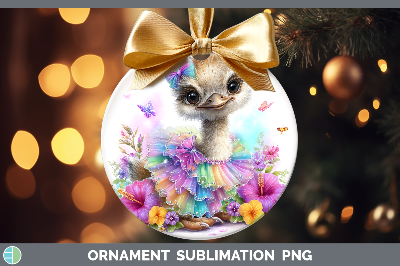 ostrich-ornament-farm-rainbow-summer-sublimation-bauble-desi