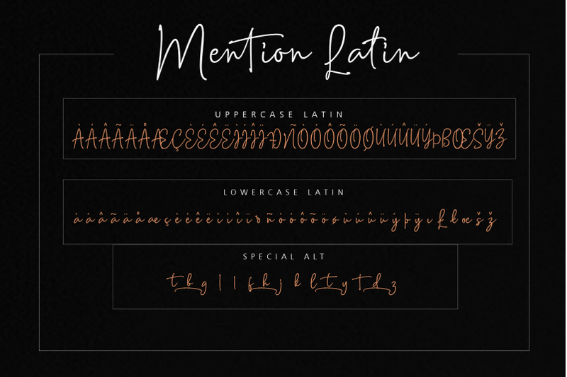 mention-signature-251-ligature