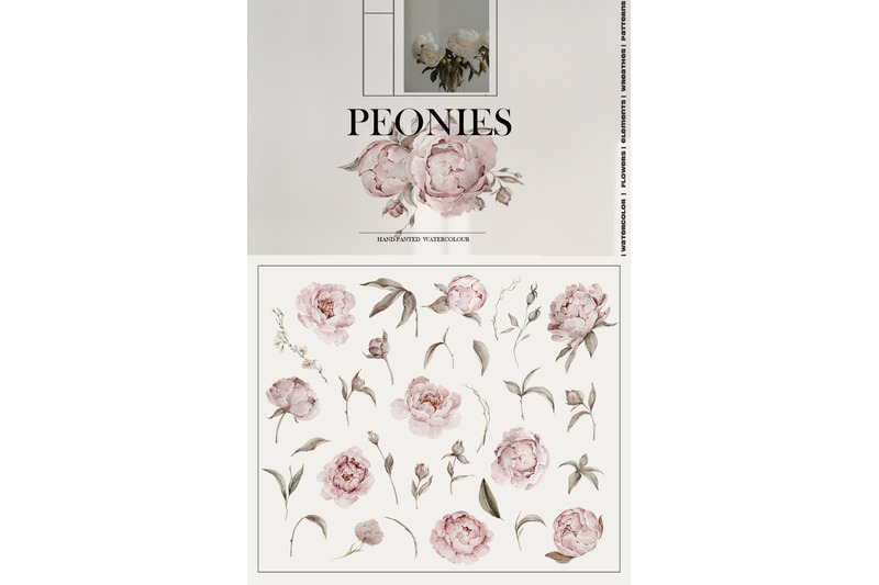 watercolor-peonies-flowers-patterns
