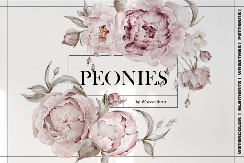 watercolor-peonies-flowers-patterns