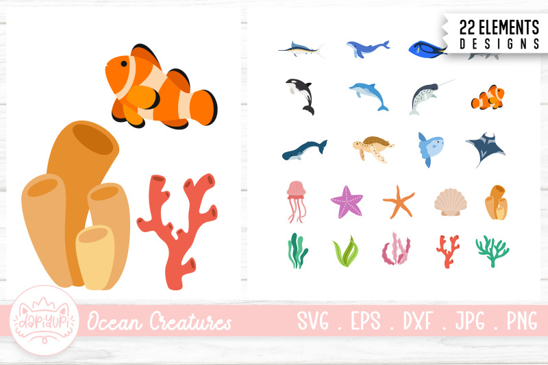marine-animals-illustration-bundle