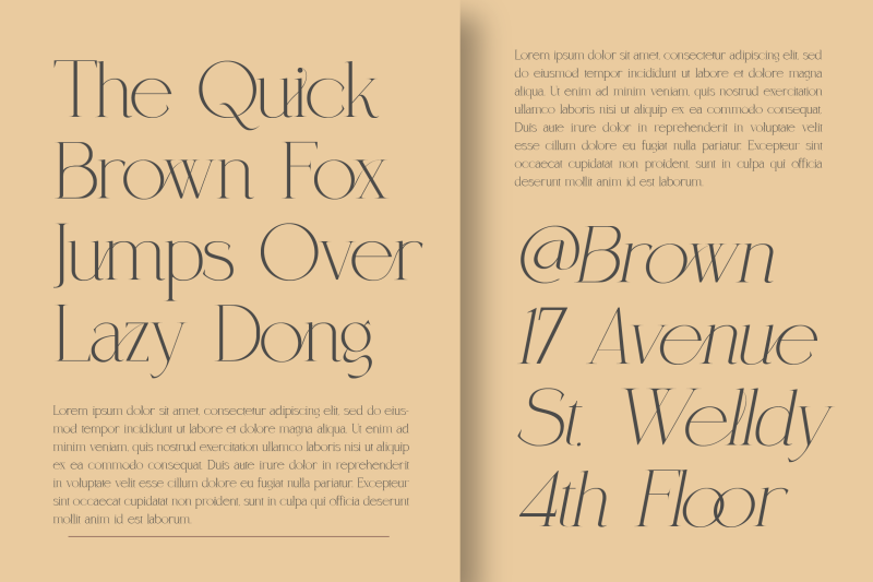 coefficient-modern-amp-elegant-serif-family