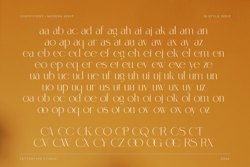 coefficient-modern-amp-elegant-serif-family